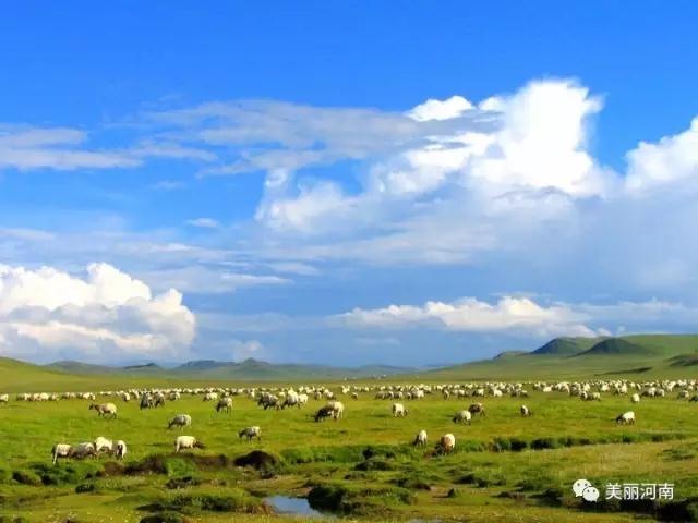 微信图片_20201027165805.jpg